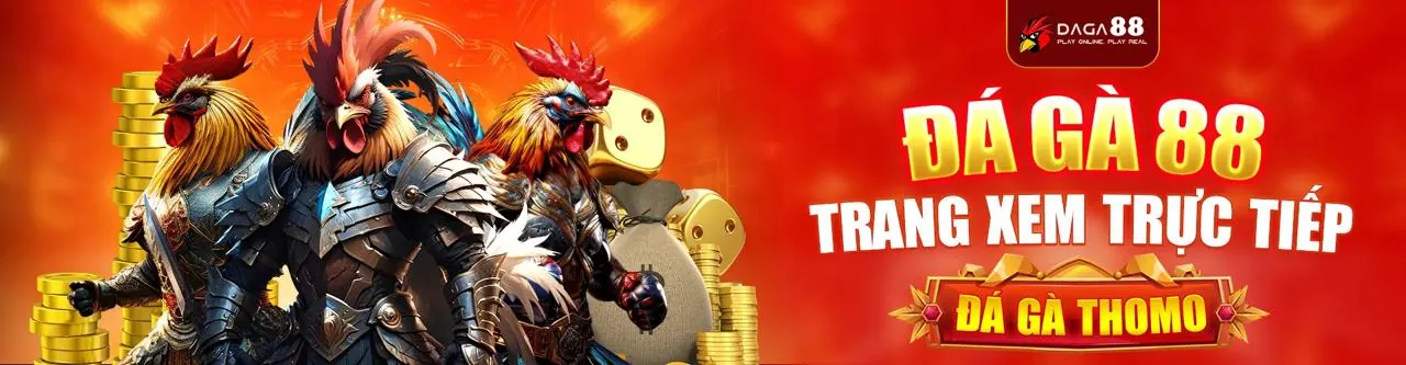 Đá gà kịch tính tại iwin chính thức